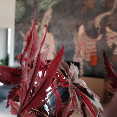 Le Boutique Luxury Rooms Diffused In Historic Center فيوميتشينو المظهر الخارجي الصورة
