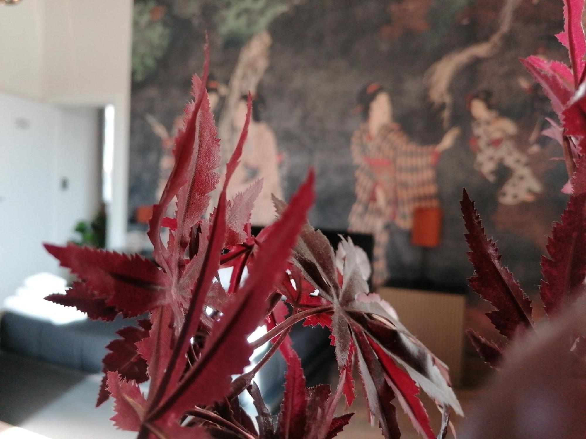Le Boutique Luxury Rooms Diffused In Historic Center فيوميتشينو المظهر الخارجي الصورة
