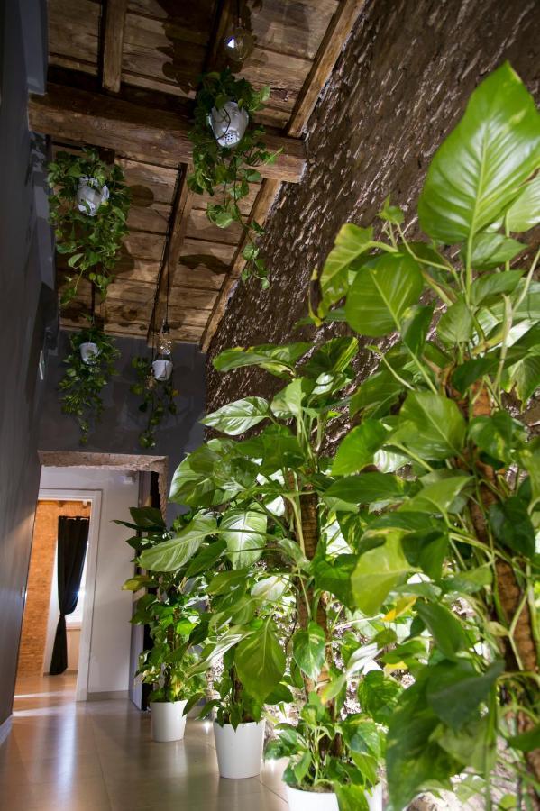 Le Boutique Luxury Rooms Diffused In Historic Center فيوميتشينو المظهر الخارجي الصورة